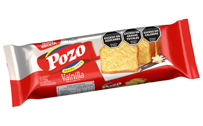 BUDIN VAINILLA POZO