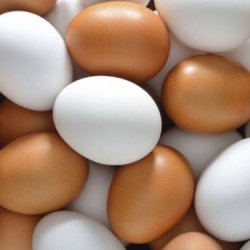 HUEVOS X UNIDAD