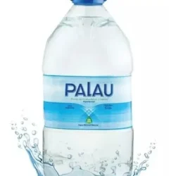 BIDON AGUA PALAU 6 L