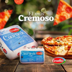 QUESO CREMOSO  X 100 G