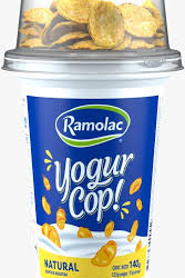 YOGOURT VASITO